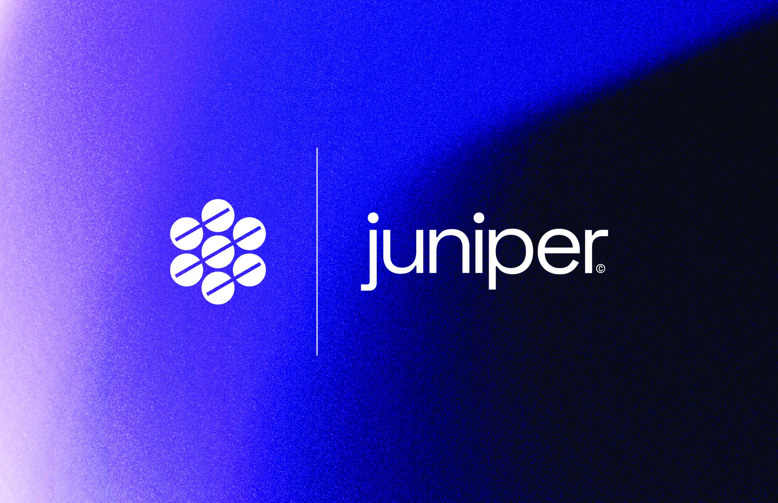 Juniper_Gallery